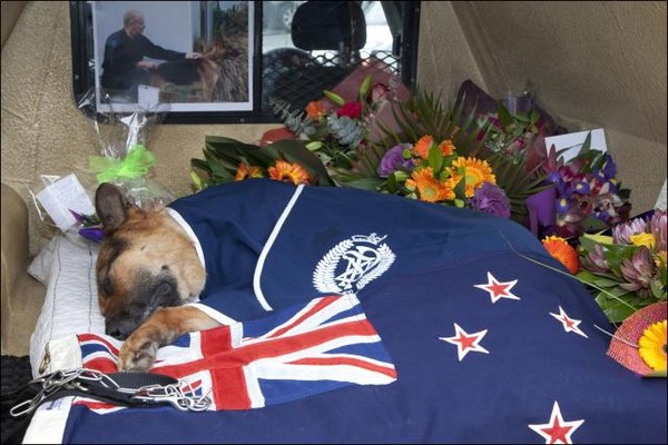 Christchurch police dog Gage was farewelled in a private ceremony in the city today.